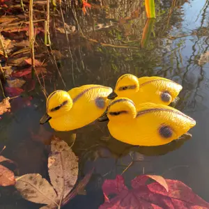 Decorative Plastic Floating Yellow Pond Ducklings (Pack of 6)