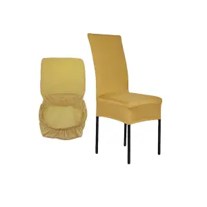 Gold Universal Dining Spandex Chair Cover, Pack of 1