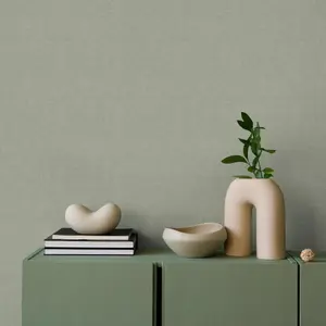 Superfresco Easy Zara Sage Green Texture Wallpaper