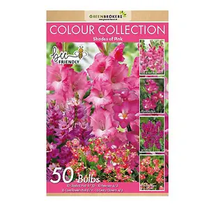 Colour Collection Spring Flower Bulbs-Pink (50 Bulbs) Bee Friendly