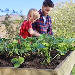 Zest Wooden Vegetable Raised Bed Planter Manger Trough Garden 2m