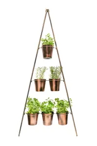 Outdoor Vertical Gold Metal Wall Plant Stand with Planters  H148Cm W69Cm Planter Size External Diam 14Cm