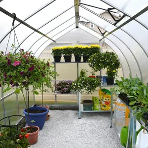 Palram - Canopia Bella 8x12 Greenhouse