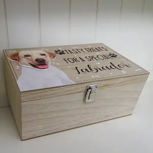 Labrador Dog Treat Box Delgado Decorative Box