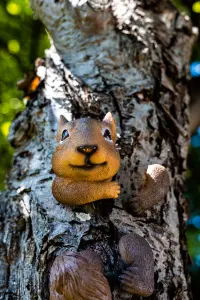 Squirrel Tree Peeker Garden Ornament