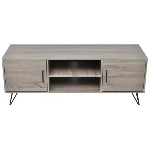 Berkfield TV Cabinet 120x40x45 cm Grey