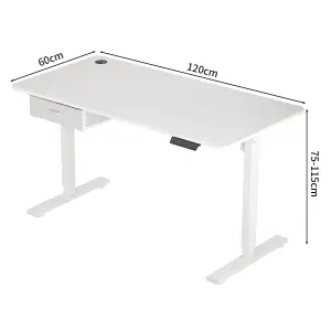 MCC Direct Height Adjustable Electric Desk Standing/Sitting Computer Desk with USB A Charger Port 120cm White