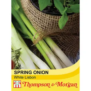 Spring Onion White Lisbon 1 Seed Packet (500 Seeds)