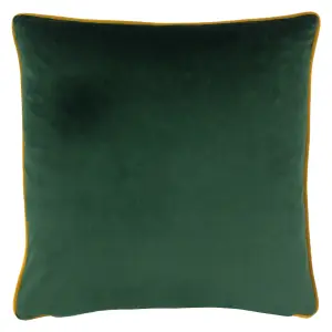 Paoletti Veadeiros Botanical Feather Rich Cushion