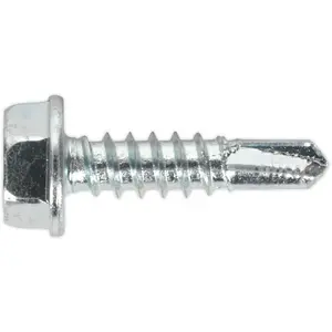 100 Pack Zinc Plated Self Drilling Hex Head Screws 4.8 x 19mm for DIY and Professional Use