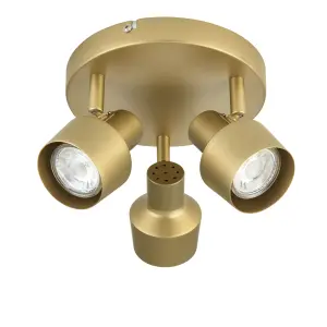 Anise Modern Satin gold effect 3 Light Spotlight plate