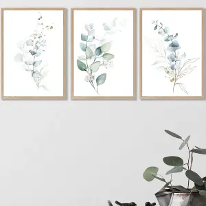 Set of 3 Green Blue Watercolour Eucalyptus Set 2 Wall Art Prints / 42x59cm (A2) / Oak Frame