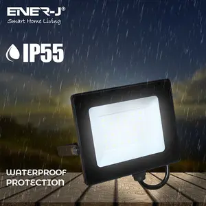 30W LED Floodlight Pre Wired with 500W RF Receiver + 1 Gang Wireless Kinetic Switch (White Body)