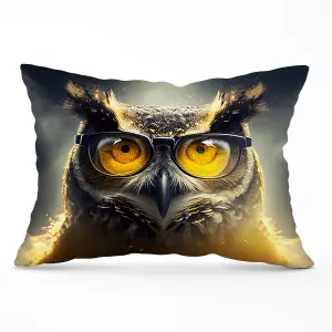 Owl Splashart Cushions 33cm x 48cm