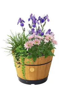 VegTrug Wooden Barrel Planter - Medium Build-a-Barrel Kit Natural