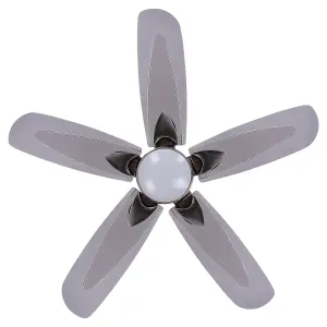 Ceiling Fan with Light Silver COYOTE