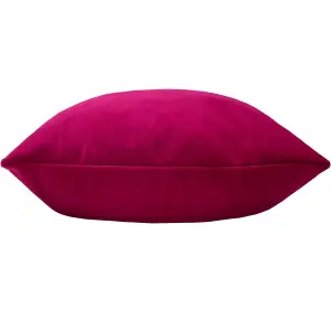 Paoletti Sunningdale Velvet Feather Rich Cushion