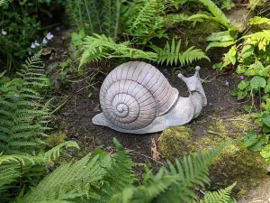 Large Stone Cast Snail Garden Ornament