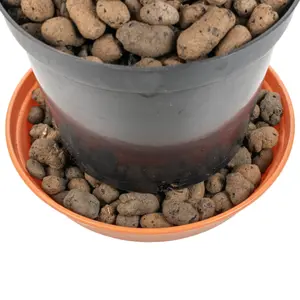 1l growing media-clay pebbles,medium size 8-16mm, pot plant topper,hydroponics,washable & reusable