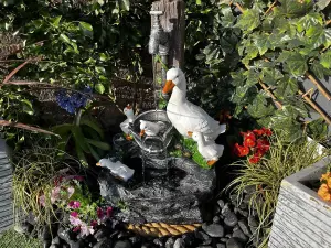 Duck Family Animal Fountain Mains Plugin Powered Water Feature