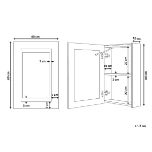 Bathroom Wall Mounted Mirror Cabinet with LED 40 x 60 cm Black MALASPINA