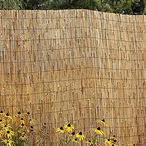 Abaseen 2m x 3m Extra Thick Natural Peeled Reed Fence, Garden Screening Fence for Outdoor Wind and Sun Protection