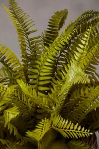 Fiori Boston Fern Succulent Artificial Plant Foliage