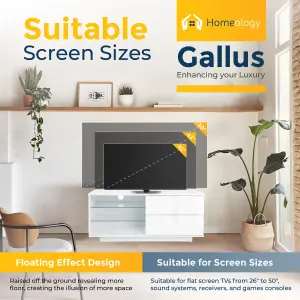 Homeology Gallus Gloss White with 2-White Drawers and 2 Shelves up to 55" LED/OLED/LCD TV Cabinet