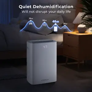 COSTWAY Dehumidifier 24 L Energy Efficient Dehumidifier w/ Auto Drain & 24H Timer