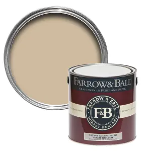 Farrow & Ball Exterior Masonry Mixed Colour Paint 213 Savage Ground 5L