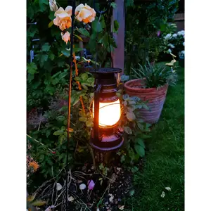 Kidd Bronze 24Cm H Solar Powered Integrated LED Outdoor Lantern