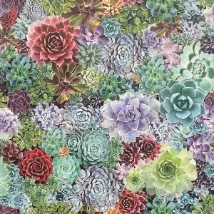 Arthouse Succulent Floral Multicoloured Flower Living Wall Multi Wallpaper 259402