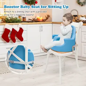 Booster Seat Blue