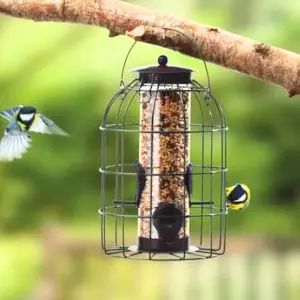 Squirrel Proof Seed Bird Feeder