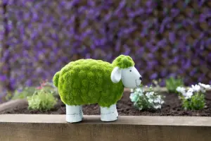 Moss Effect Sheep Garden Ornament