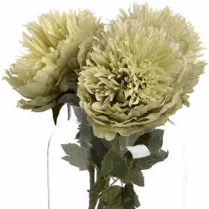 UK Homeliving Artificial Green Peony