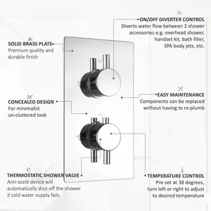 ENKI Venice Chrome Round 2-Outlet Solid Brass Thermostatic Twin Shower Valve TSV075