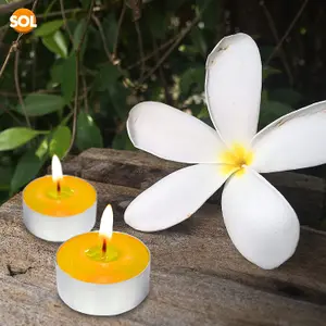 15pk Vanilla Tea Lights - Vanilla Tea Lights - Tea Light Candles - Long Burning Tealights - Scented Tea Light Candles - Vanilla