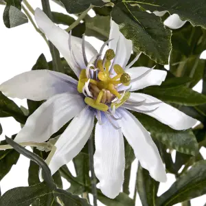 UK Homeliving Passion Flower Spray