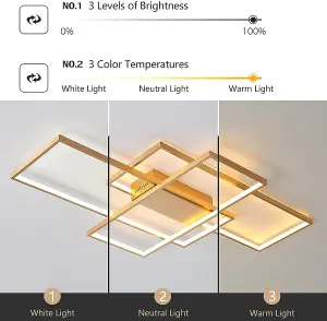 Garwarm Gold LED Ceiling Light with Remote Control, Dimmable Ceiling Lamp 50W, Fixtures for Living Dining Room Bedroom Kitchen