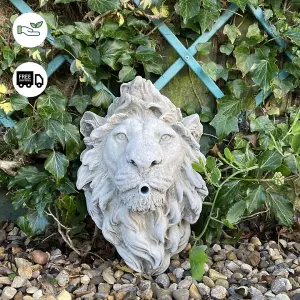 Lion Head Fountain Wall Plaque