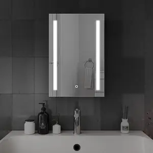 Harper & Harlow 400x600 Lynx LED Illuminated Bathroom Mirror