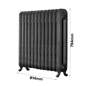 Arroll Daisy Cast iron Grey 12 Column Radiator, (W)814mm x (H)794mm