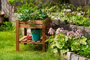 Raised Vegetable Planter - Wood - L75 x W75 x H79 cm - Brown