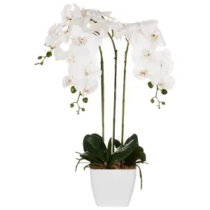 Artificial Plant ONCIDIUM ORCHID White