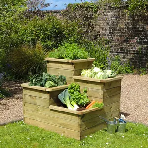 Zest 4 Tier Raised Wooden Bed Garden Layered Planter