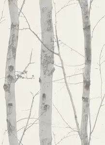 Erismann Birch Tree Vinyl Paste the Wall Wallpaper