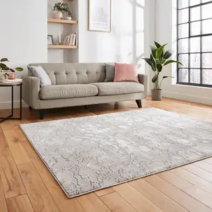 Grey Rose Modern Abstract Easy To Clean Dining Room Rug-120cm X 170cm