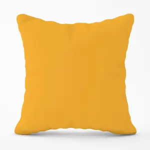 Cantaloupe Orange Cushions 45cm x 45cm