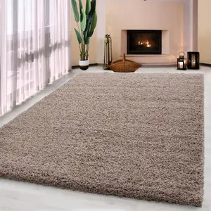 Luxurious Shaggy Rugs Soft Extra Thick Area Rugs Heavy 5cm Dense Pile for Living Room Bedroom Hallway (Dark Beige, 80 x 150cm)